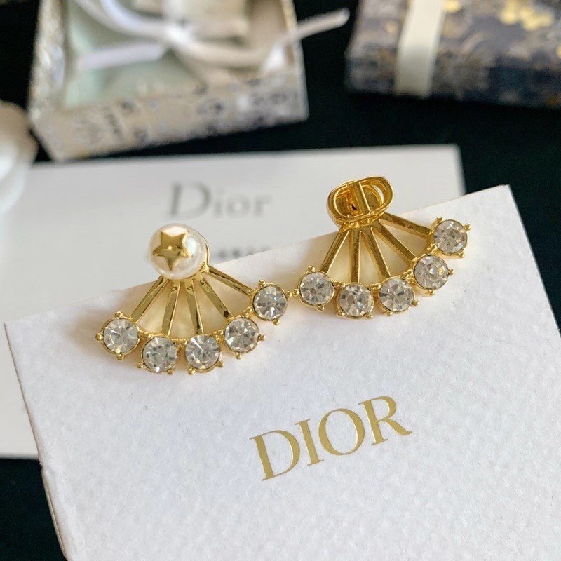 Dior Earring 04lyr398